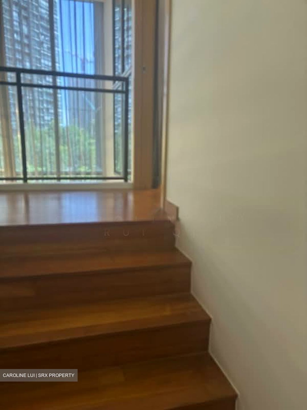 Mon Jervois (D10), Condominium #551131441